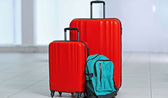 Luggage & Bag Fabrics